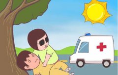 hahabet星辰大海科技