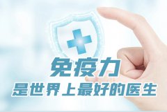 hahabet星辰大海科技