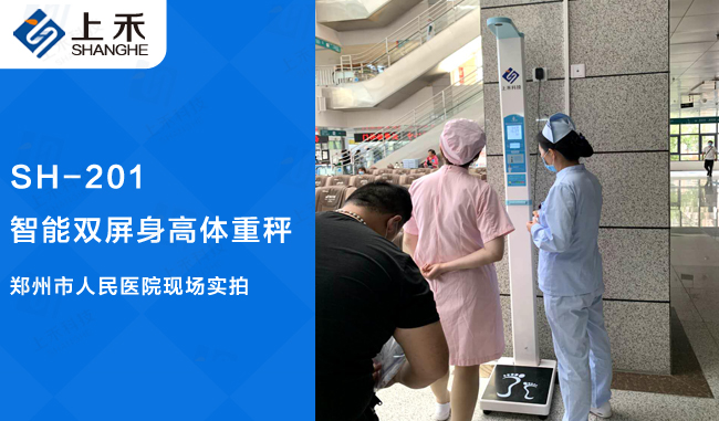 双屏身高体沉秤