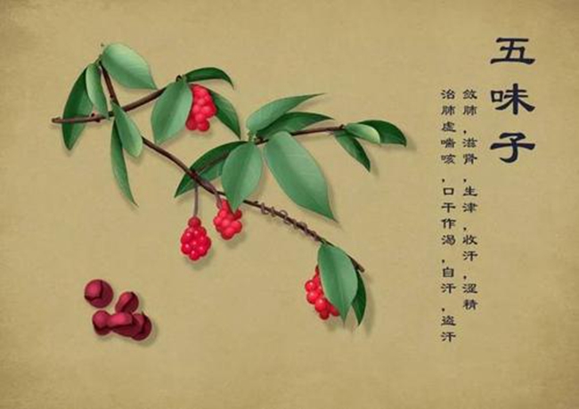 hahabet星辰大海科技