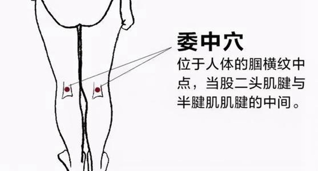 hahabet星辰大海科技